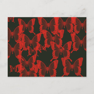 red butterfly from dark night  background postcard