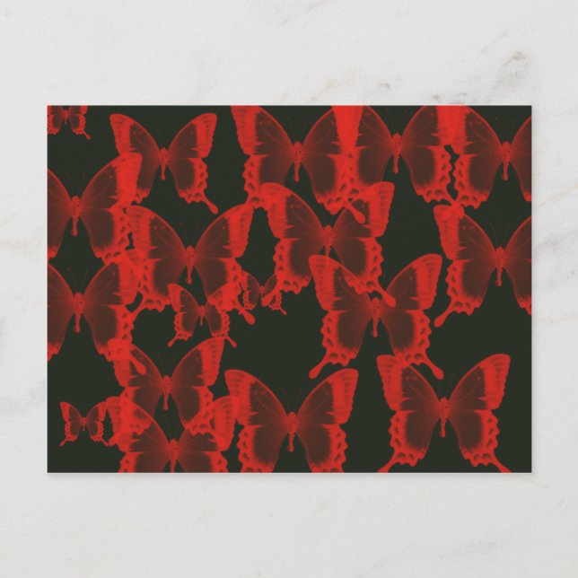 red butterfly from dark night  background postcard (Front)