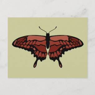 Red Butterfly Postcard
