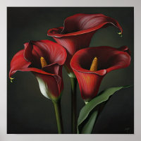 Red Calla Lilies Lily Flower Art Print Poster