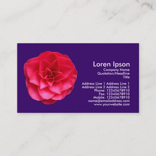 Red Camelia II - Dark Violet Business Card (Front)