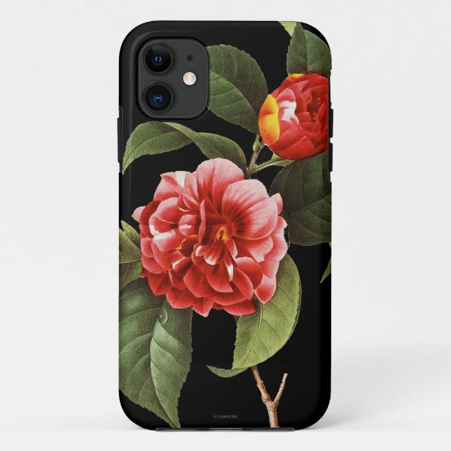 Red Camellia, 1833 Case-Mate iPhone Case (Back)