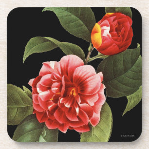 Red Camellia, 1833 Coaster