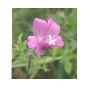 Red Campion Wildflower Notepad