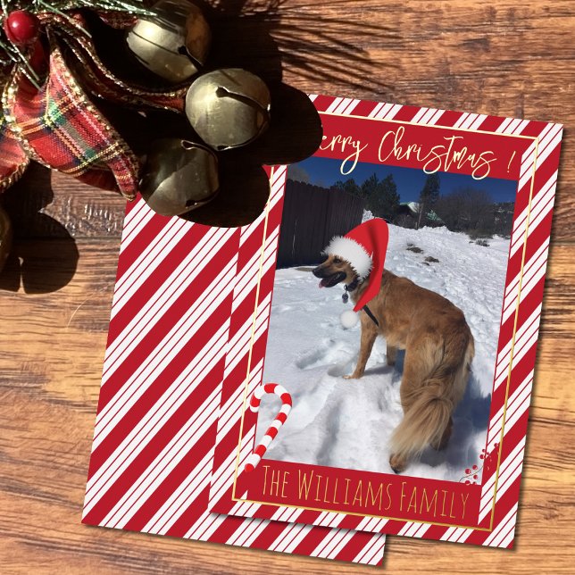 Red Candy Cane Stripes Dog Photo Foil Holiday Card (Creator Uploaded)