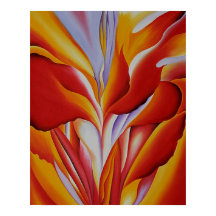 Red Canna