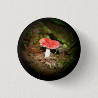 Red Capped Russula Mushroom 1 Inch Round Button