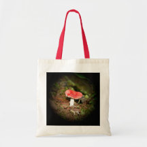 Red Capped Russula Mushroom