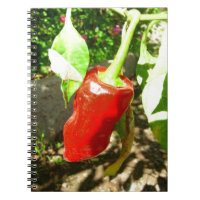 Red Capsicum Notebook