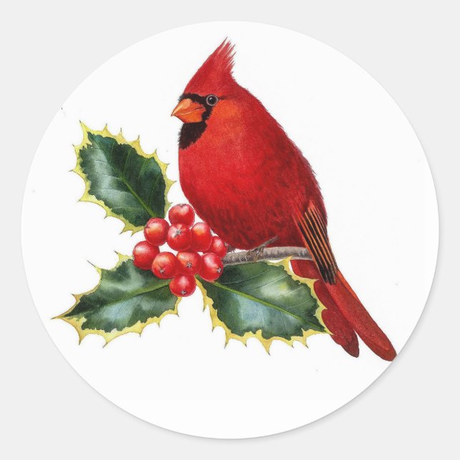 Red Cardinal Bird and Holly Berry Christmas Classic Round Sticker (Front)