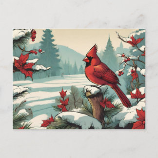 Red Cardinal Bird and Red Wild Berries  Holiday Postcard
