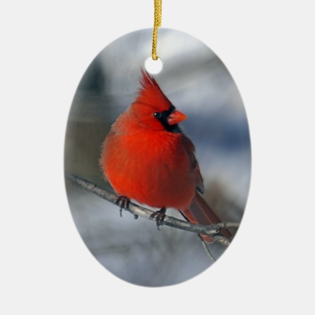 Red Cardinal Bird Ceramic Ornament (Front)