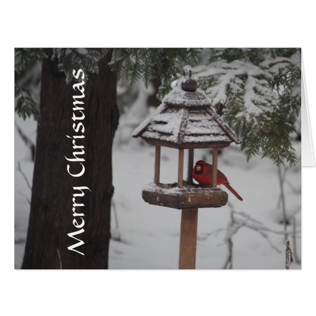 Red Cardinal Bird Christmas Greeting (Front Horizontal)