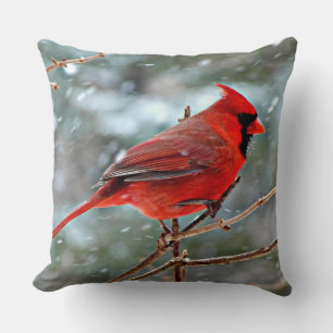 Red Cardinal bird, cold winter day Throw Pillow