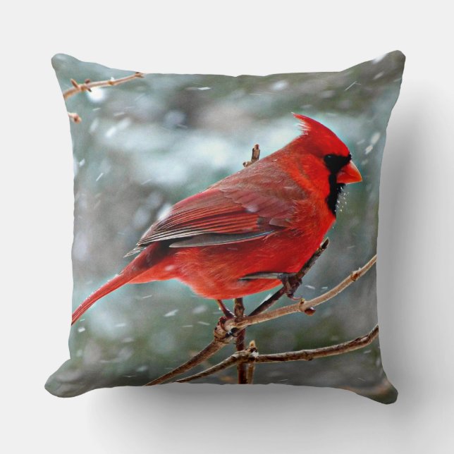 Red Cardinal bird, cold winter day Throw Pillow (Front)