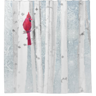 Red Cardinal Bird in beautiful snowy Birch Tree