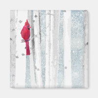 Red Cardinal Bird in beautiful snowy Birch Tree