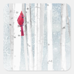 Red Cardinal Bird in beautiful snowy Birch Tree Square Sticker