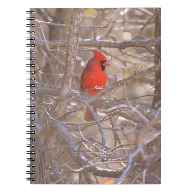 Red Cardinal Bird in Tree Notebook Journal (Front)