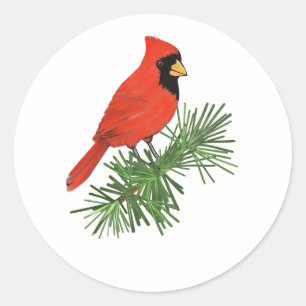 Red Cardinal Bird on Pine Tree Classic Round Sticker
