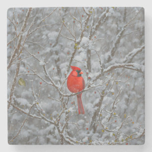 Red Cardinal Bird on Snow Tree Holiday Coaster