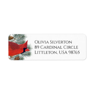 Red Cardinal Bird Pine Tree Winter Return Address