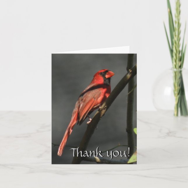Red Cardinal Bird Thank You Note Card (Front)