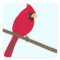 Red Cardinal