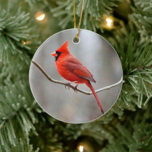 Red Cardinal Crest Ceramic Ornament