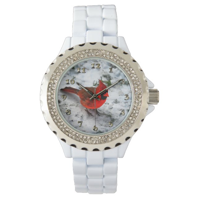 Red Cardinal Feathers and Plumage Watch (Front)