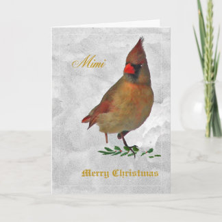 Red Cardinal female from front in snow w holly--tw Holiday Card