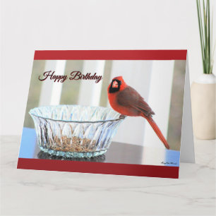 Red Cardinal Happy Birthday Card