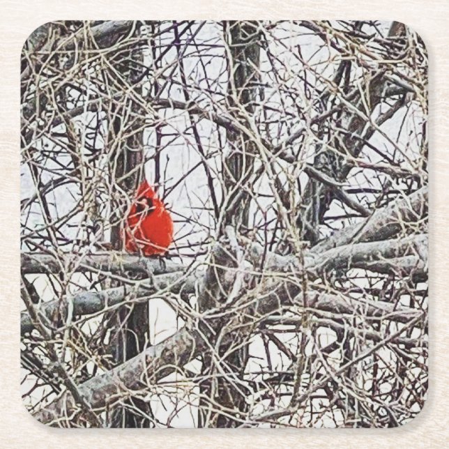 Red Cardinal in a Tree on a Snow Filled Day Square Paper Coaster (Front)