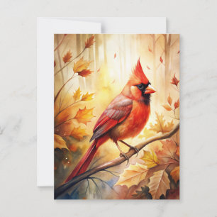 Red Cardinal in Autumn Fall Postcard