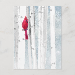 Red Cardinal in beautiful snowy Birch Tree Forest Postcard