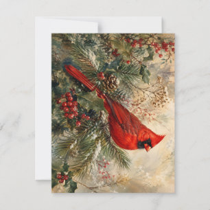 Red Cardinal in Snowy Evergreen Christmas Card