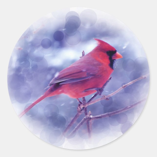 Red Cardinal in the Blizzard Classic Round Sticker (Front)