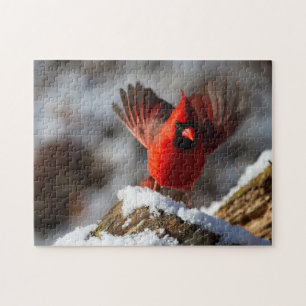 Red Cardinal in the Snow Jigsaw Puzzle