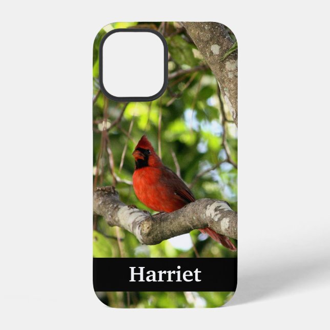 Red Cardinal in Tree Personalized iPhone Case (Back)