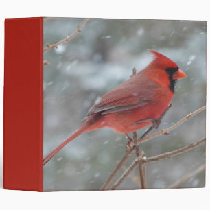 Red cardinal in Winter Binder