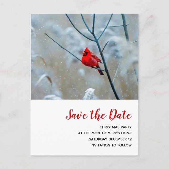 Red Cardinal in Winter Christmas Save the Date Invitation Postcard (Front)