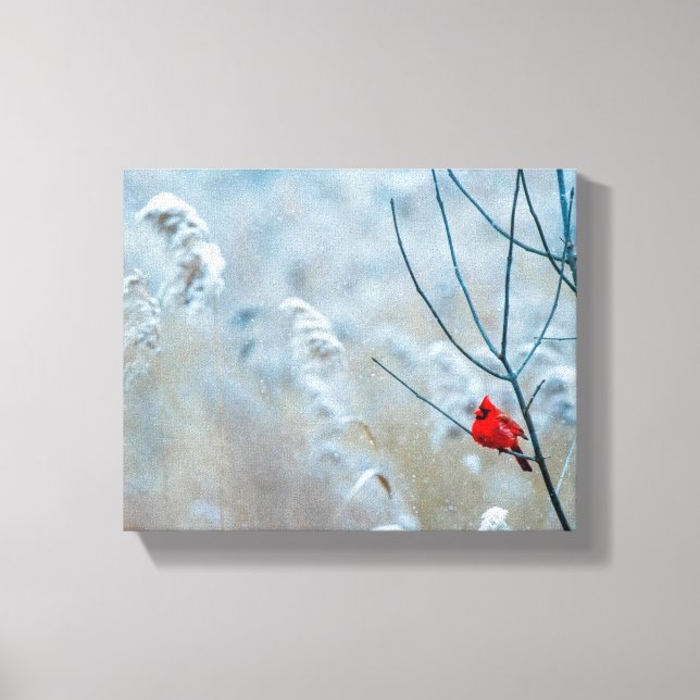 Red Cardinal in Winter Nature Photo Christmas Canvas Print (Front)
