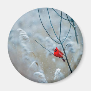 Red Cardinal in Winter Nature Photo Christmas Magnet