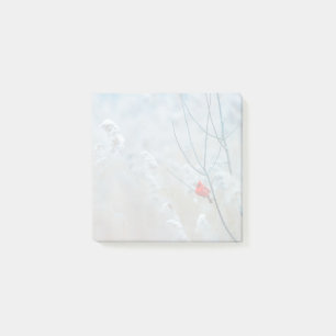 Red Cardinal in Winter Nature Photo Christmas Post-it Notes