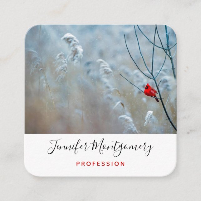 Red Cardinal in Winter Nature Photo Christmas Square Business Card (Front)