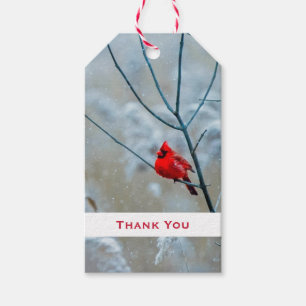 Red Cardinal in Winter Nature Photo Thank You Gift Tags