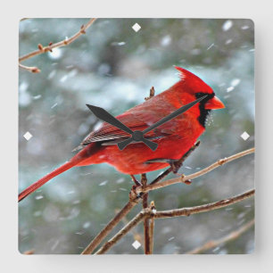 Red Cardinal in Winter Snow Square Wall Clock