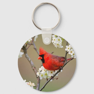 Red Cardinal Keychain