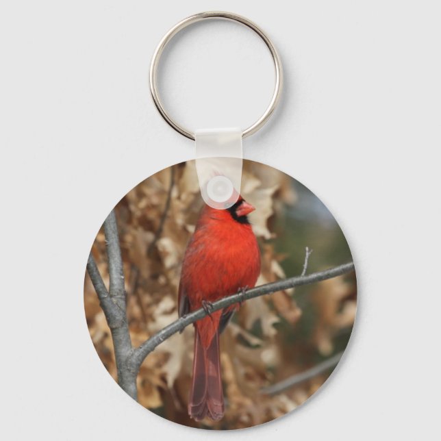 Red Cardinal Keychain (Front)