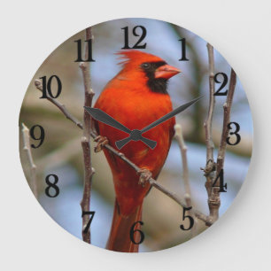 Red Cardinal Large Clock